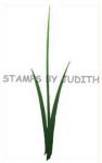 I-143 Bold Flower Stem